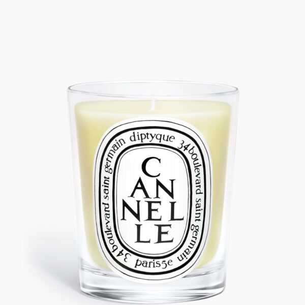 딥티크 카넬 (계피) - 클래식 캔들
